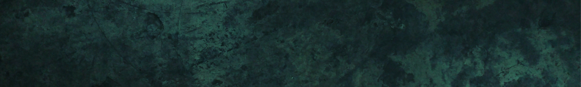 Featured Image for Pages